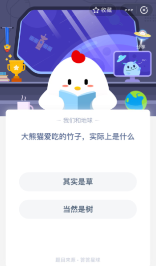 大熊猫爱吃的竹子实际上是什么 蚂蚁庄园答题攻略