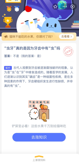 虫牙真的是因为牙齿中有虫吗 蚂蚁庄园今日答案