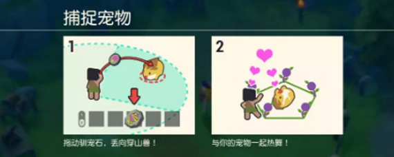 海岛纪元如何使用宠物技能 海岛纪元宠物技能攻略