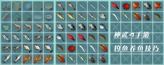 神武4手游怎么钓鱼 神武4钓鱼养鱼技巧分享