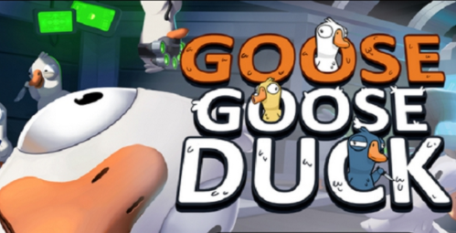 为什么手机鹅鸭杀注册不了?手机鹅鸭杀注册教程