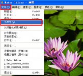 图片格式转换word