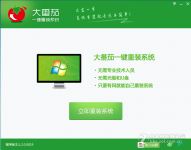 大番茄一键重装系统教程
