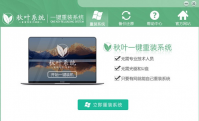 秋叶一键重装系统如何使用