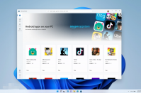 详解目前win11有几个版本