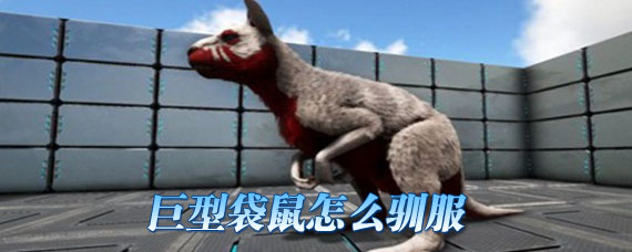 方舟手游巨型袋鼠怎么驯服 巨型袋鼠吃什么饲料