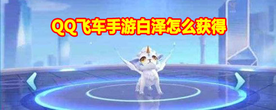 QQ飞车手游白泽宠物获取方法 QQ飞车手游宠物白泽怎么获取