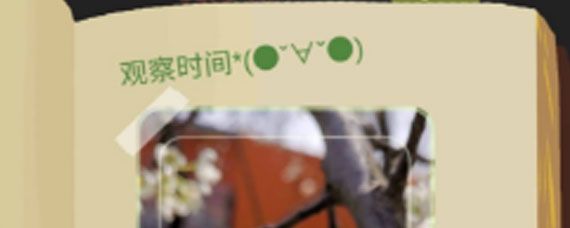 老农种树新人如何快速上手 新手攻略