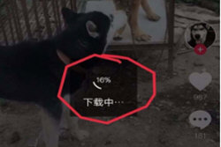 抖音怎么把视频做成壁纸 抖音短视频怎么弄成锁屏壁纸
