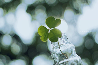 抖音从1数到100是什么梗 抖音从抖音从1开始数数视频在哪看