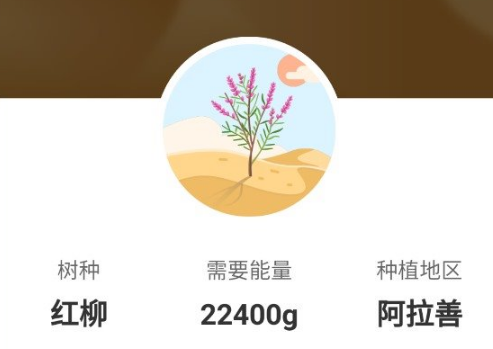 支付宝蚂蚁森林新树种红柳怎么种 红柳需要多少能量