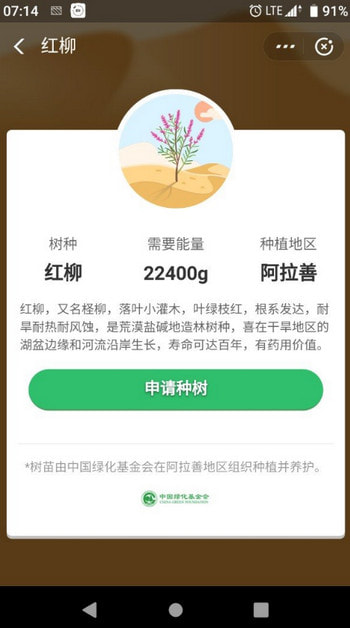 支付宝蚂蚁森林新树种红柳怎么种 红柳需要多少能量