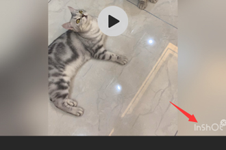 inshort怎么去除水印 inshort视频剪辑去水印方法