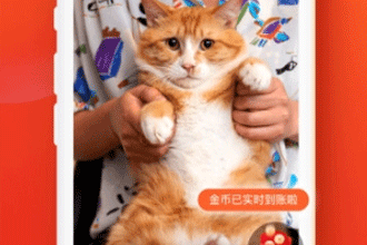 快手极速版怎么赚钱 快手极速版一天赚多少