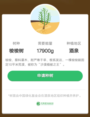 梭梭树被称为什么 梭梭树是什么树