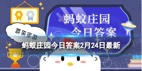 诸葛菜是什么菜 民间俗称诸葛菜是什么蚂蚁庄园2月24日答案