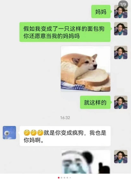 面包狗什么意思 面包狗什么梗