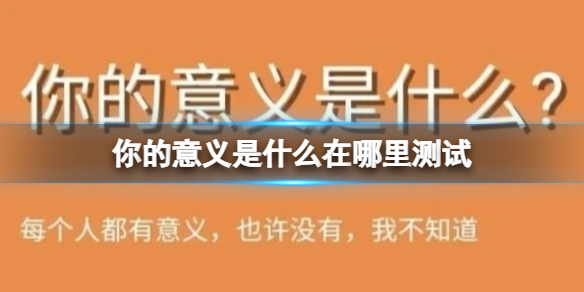 你的意义是什么在哪里测试 你的意义是什么测试地址分享