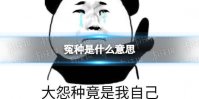 冤种是什么意思 冤种是什么梗