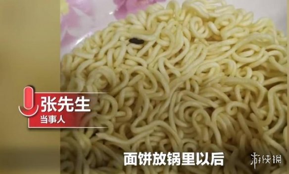 康师傅被曝发现苍蝇干尸 康师傅方便面中发现苍蝇干尸