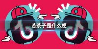 苦茶子是什么梗 苦茶子梗介绍
