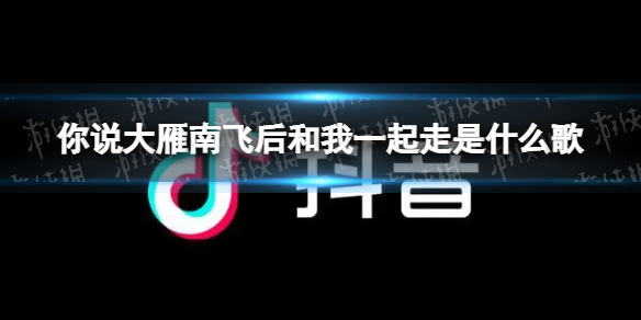 你说大雁南飞后和我一起走是什么歌 你说大雁南飞后和我一起走歌曲介绍