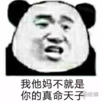 王思聪表情包 王思聪孙一宁表情包分享