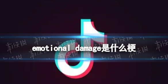 emotional damage是什么梗 emotional damage梗介绍