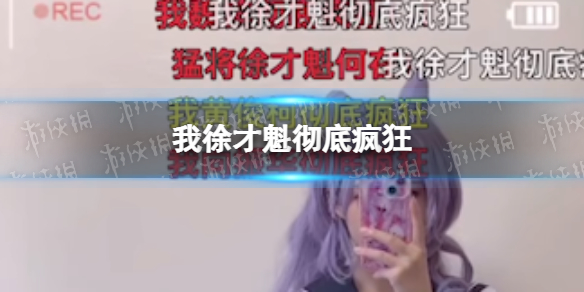 徐才魁是什么梗 我徐才魁彻底疯狂