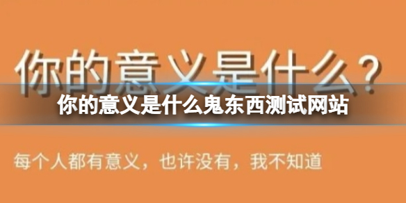 你的意义是什么鬼东西测试网站 鬼东西网站测试你的意义是什么