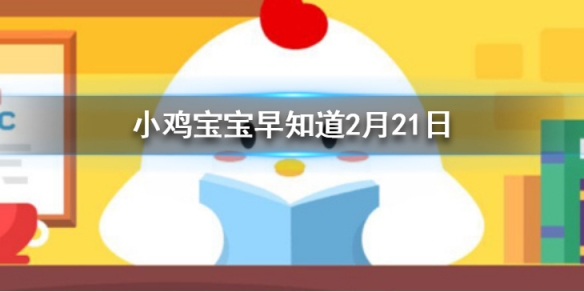 何须浅碧深红色自是花中第一流写的是什么花 小鸡宝宝今日答案早知道2月21日