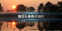 微信头像图片2021最新款 微信头像图片2021分享