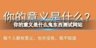 你的意义是什么鬼东西测试网站 鬼东西网站测试你的意义是什么
