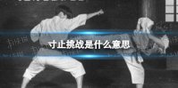 寸止挑战是什么意思 寸止挑战出处介绍