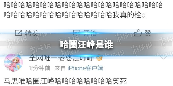 哈圈汪峰是谁 哈圈汪峰事件介绍