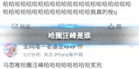 哈圈汪峰是谁 哈圈汪峰事件介绍