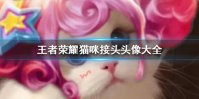 《王者荣耀》猫咪接头头像大全 男英雄女英雄猫咪接头头像分享