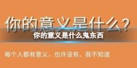 你的意义是什么鬼东西 你的意义是什么测试地址