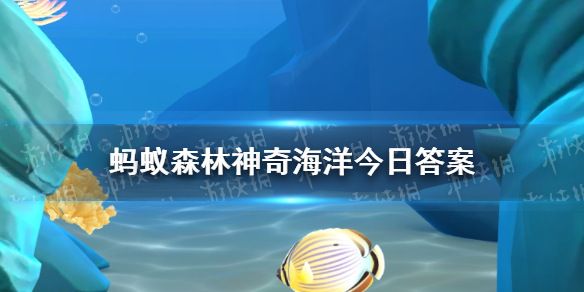 支付宝螃蟹血的颜色是什么 神奇海洋4.22答案最新