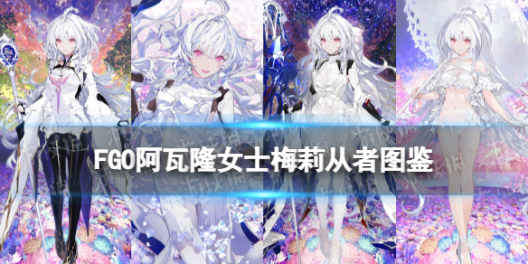 《FGO》阿瓦隆女士从者图鉴 梅莉泳装技能宝具效果一览