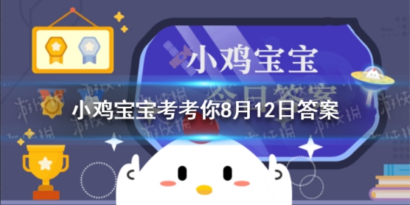 蚂蚁庄园猪真的很笨吗 蚂蚁庄园今日答案猪