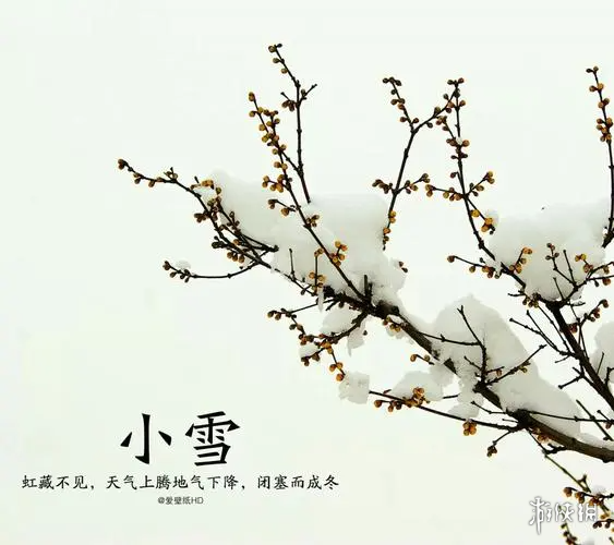 小雪节气图片大全 小雪节气高清壁纸分享