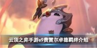 《云顶之弈手游》s9费雷尔卓德羁绊介绍