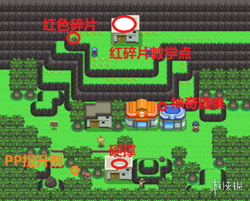 《pokemmo》神奥白金二周目图文流程攻略 神奥二周目剧情攻略