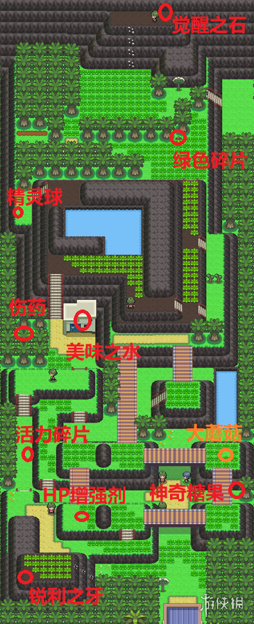 《pokemmo》神奥白金二周目图文流程攻略 神奥二周目剧情攻略