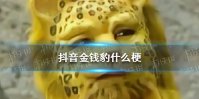 抖音金钱豹什么梗 抖音金钱豹头像大全
