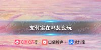 支付宝怎么搜索在吗 支付宝在吗怎么玩