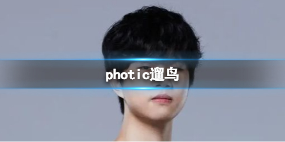 photic遛鸟 showdicker是什么梗