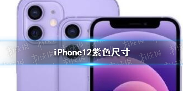 iphone12紫色多大尺寸 iPhone12紫色尺寸