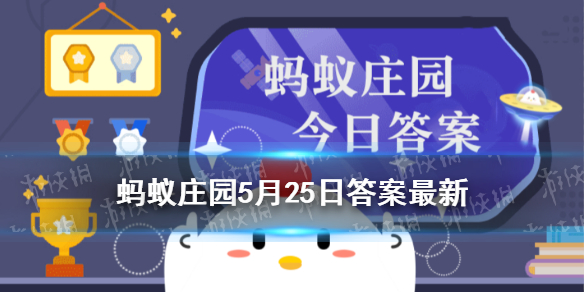 蚂蚁庄园眼睛中风 眼睛也会中风吗蚂蚁庄园今日答案5.25最新